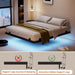 Floating Queen Bed Frame 14 Inch, Metal Platform Bed Frame with Smart LED Lights & Charging Station, Noise Free Storage Bed, No Box Spring Needed,Black