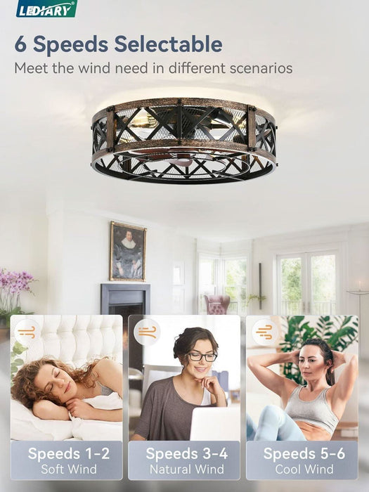 20" Caged Ceiling Fan with Light, App&Remote Control, Small Flush Mount Farmhouse Fan Lights, Low Profile Rustic Bladeless Ceiling Fan Fixtures for Bedroom, Kitchen-Black Gold Color