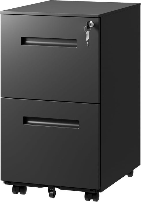 2 Drawer Metal File Cabinet with Lock, Fully Assembled