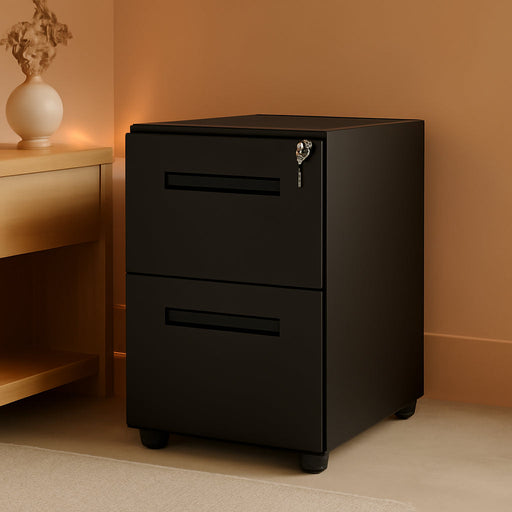 2 Drawer Metal File Cabinet with Lock, Fully Assembled
