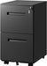 2 Drawer Metal File Cabinet with Lock, Fully Assembled
