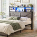 Headboard for Queen Size Bed with Storage, Headboards with Power Outlets and RGB LED Light, Sturdy Queen Size Headboard, Stable Head Board with Bed Adapter for Bedroom/Dorm/Guest Room