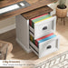 Vertical File Cabinet with 2 Drawers for Home Office, White