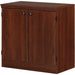 Joshoua Accent Cabinet