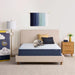 Sleeptrue Firm 12" Queen Memory Foam Mattress in a Box, Cooling, Breathable, and Pressure Relieving - 100 Night Trial, Certipur-Us Certified and 10 Year Limited Warranty