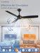 2 Pack 52 Inch Outdoor Ceiling Fans with Remote, Black Ceiling Fan No Light with Quiet Reversible DC Motor, 6 Speeds, 3 Blade Modern Ceiling Fans for Patio Living Room Bedroom Indoor