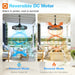 20 Inch Outdoor Ceiling Fan without Light, IP65 Waterproof Plug in Caged Hanging Fan, Remote Control, 6 Speeds Reversible Outdoor Fans for Patio, Gazebo, Pergola, Porch