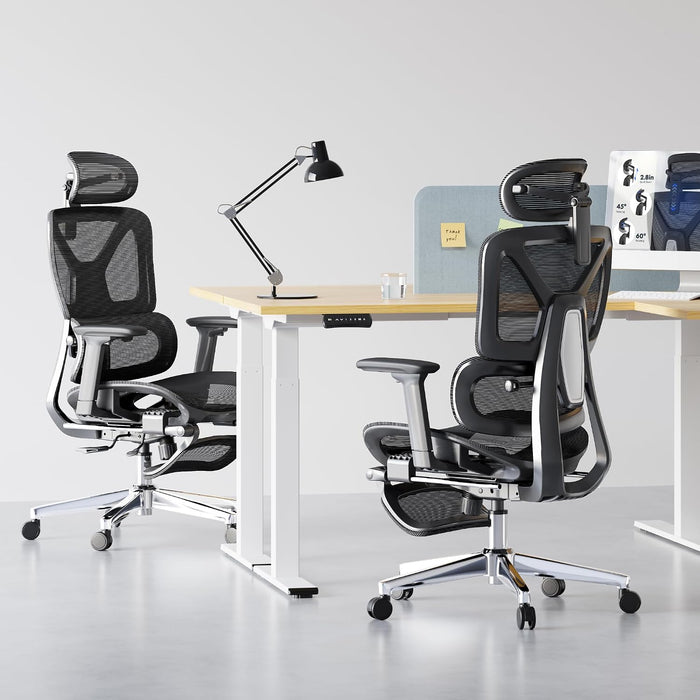 FLEXISPOT Ergox Premium Ergonomic Office Chair Black-Ft