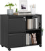 2 Drawer File Cabinet with Lock, Metal Lateral Rolling Printer Stand Filing Cabinets with Drawers for Home Office,A4, Letter Size File Folders(Black)