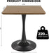 Walnut Square Tulip Table for 2, 24 Inch Small Dining Table with Metal Pedestal Base for Kitchen, Mid-Century Modern Table with round Corners for Living Room, Cafe and Home Office