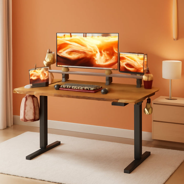 48X24 Inches Electric Standing Desk with Drawer and Monitor Stand, Height Adjustable for Home Office, Ergonomic Sit to Stand with Phone Holder, 3 Hooks, Rustic Brown - ShipItFurniture