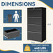 4 Drawer File Cabinet with Lock, Black Metal Lateral Filing Cabinet