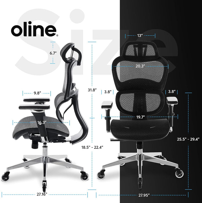 Ergopro Ergonomic Office Chair, Rolling Desk Chair with 4D Adjustable Armrest, 3D Lumbar Support, Blade Wheels, Mesh Computer Gaming Executive Swivel Chairs Chair (Black)