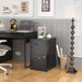 2 Drawer File Cabinets,Metal Office File Cabinet with Lock,Black