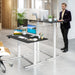 Electric Standing Desk, 48" X 24" Height Adjustable Sit Stand Computer Workstation with 2 Memory Heights, Headphone Hook, Anti-Collision Design, Home Office Computer Desk (Black+White)