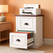 Vertical File Cabinet with 2 Drawers for Home Office, White