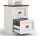 Vertical File Cabinet with 2 Drawers for Home Office, White