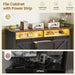 47.2 Black File Cabinet With Organization Solutions