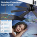 54 Inch Matte Black Brushless Ceiling Fan Lighting