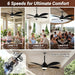 46 Inch Black Outdoor Ceiling Fan Extended Remote Kit