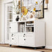 2 Drawer Mobile File Cabinet with Lock,Metal Lateral Filing Cabinet with Shelves,Printer Stand with Storage