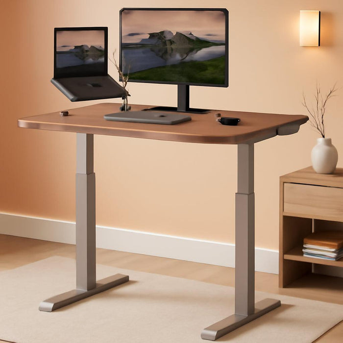 54x26 Walnut Electric Standing Desk Memory Settings