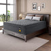 14 Inch Firm King Size Mattress, Hybrid King Mattress with Extra Back and Lumbar Support, Fiberglass Free, 365 Nights Trial & 10 Years Warranty, Motion Isolation, Enhenced Edge Support