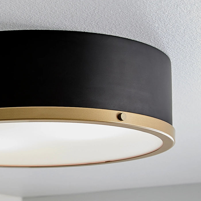 Irving Park 2-Light Flush Mount, Matte Black Finish, Burnished Brass Accents, Frosted Glass Shade, LED Bulbs Included