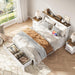 Queen Murphy Bed SpaceSaving Charging Cabinet Drawers