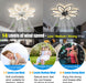 Modern White Compact Ceiling Fan With Dimmable Lighting