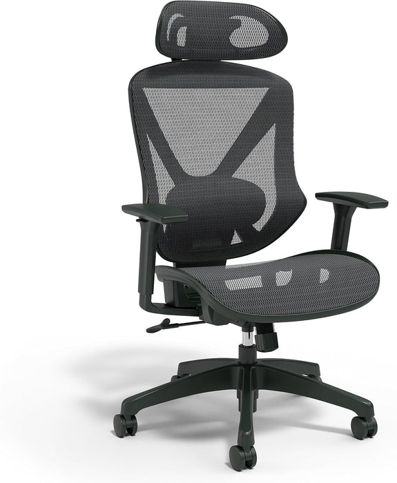 Dexley Ergonomic Mesh Task Chair, Lumbar Support, Swivel, Black