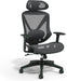 Dexley Ergonomic Mesh Task Chair, Lumbar Support, Swivel, Black