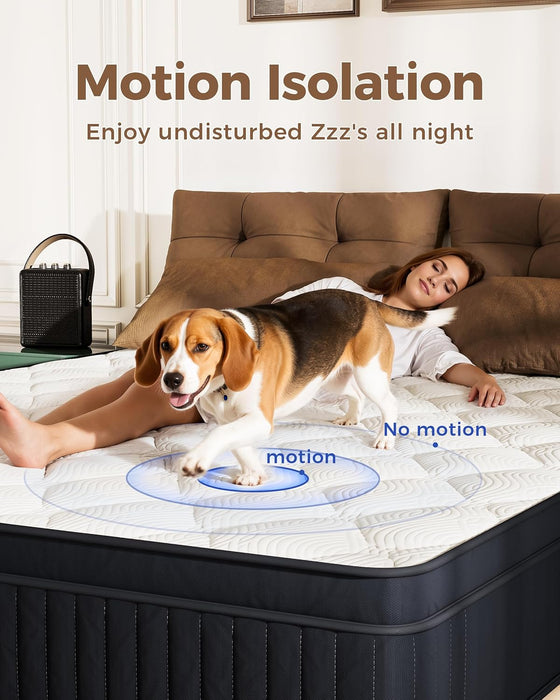 Twin XL Mattress 10 Inch Medium MotionIsolationCertipurUs