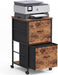 Mobile Printer Stand with 2 Drawers, File Cabinet for Home Office