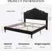 Queen Bed Frame with Adjustable Headboard/Velvet Upholstered/Diamond Button Tufted and Metal Studs/No Box Spring Needed/Wood Slat Support/Easy Assembly/Black