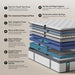 Queen 14 Inch Hybrid Mattress, Medium Firm, 7-Zone Lumbar Support in a Box
