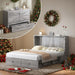 Gray Queen Murphy Cabinet BedFrame With StorageDrawers