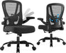 Office Chair Ergonomic Desk Chair - Computer Chair with 3D Lumbar