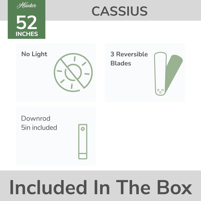 Cassius 52 Inch Contemporary Indoor Outdoor Ceiling Fan