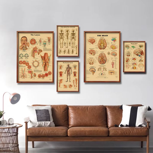 Retro Organ Systems in the Human Body Posters Skeleton Anatomy Kraft Paper Prints DIY Vintage Home Room Art Wall Decor Paintings