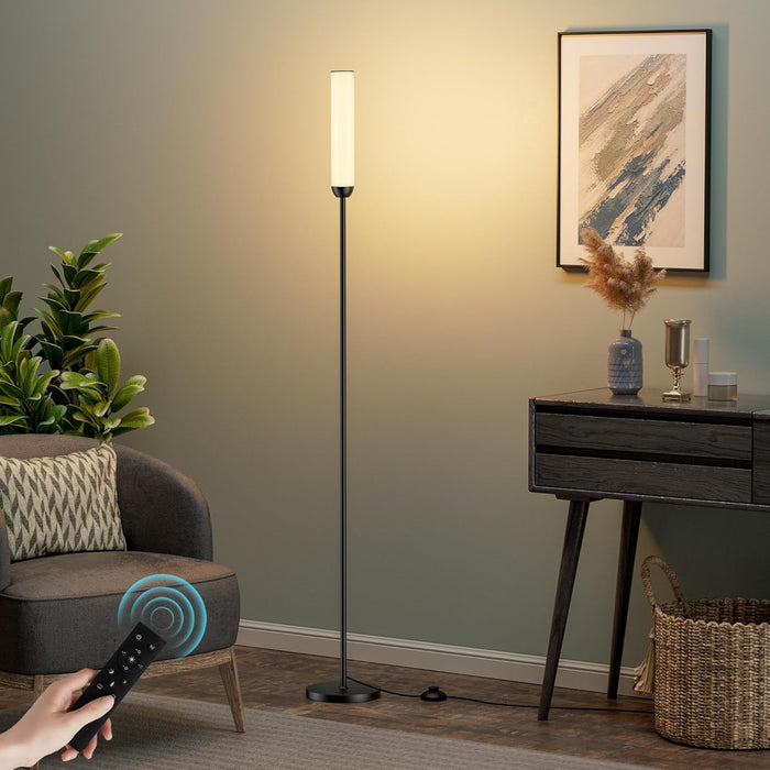 65Inch LED Floor Lamp With Dimmable ColorTemperature
