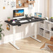 Electric Standing Desk, 48" X 24" Height Adjustable Sit Stand Computer Workstation with 2 Memory Heights, Headphone Hook, Anti-Collision Design, Home Office Computer Desk (Black+White)