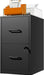 2 Drawer File Cabinet with Lock, Metal Vertical File Cabinets for Home Office, Office Furniture for Organization Hanging Legal/Letter/A4, Office File Cabinet Storage Cabinet, Require Assembly, Black