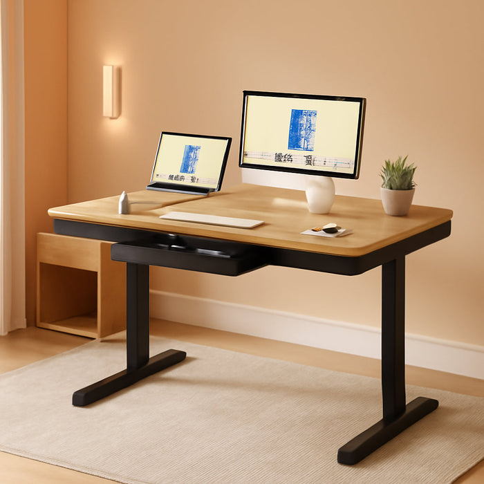 Comhar Electric Standing Desk with Drawer Desktop & Adjustable Frame W/Usb Charge Ports (Bamboo Texture/Black, Wood)