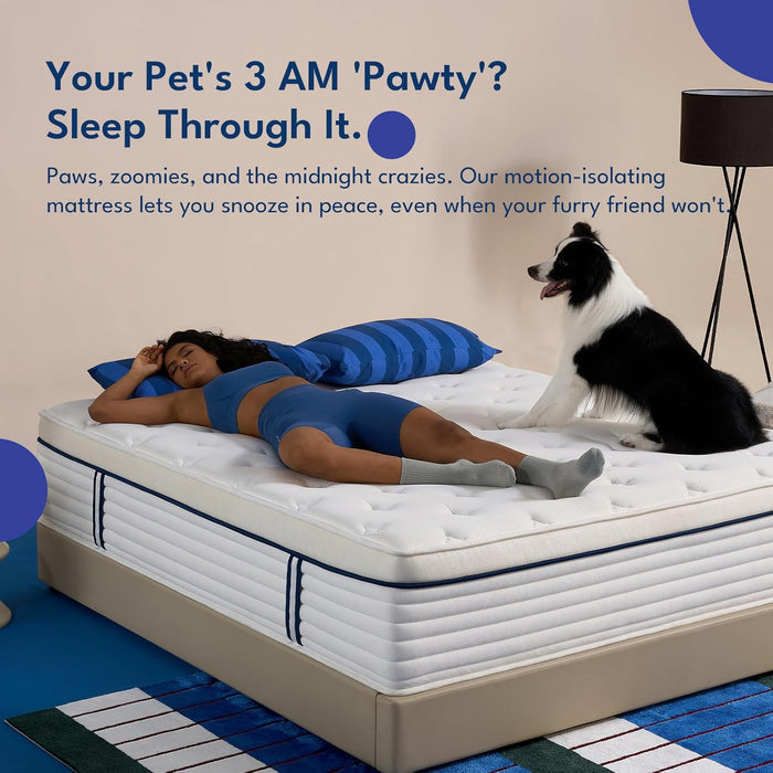 12 Inch Queen Size Mattress in a Box, Medium Firm Mattress of Cooling Gel Memory Foam & Individual Pocket Coils for Motion Isolation & Pressure Relief, Certipur‑Us Certified