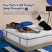 12 Inch Queen Size Mattress in a Box, Medium Firm Mattress of Cooling Gel Memory Foam & Individual Pocket Coils for Motion Isolation & Pressure Relief, Certipur‑Us Certified