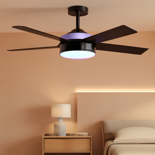 Ceiling Fan with Lights, RGBIC Smart 52'' Low Profile Ceiling Fan with Lights and Remote, Reversible DC Motor, Dimmable, 2800Lm, Ceiling Fan for Bedroom, Living Room, Black