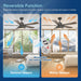 Ceiling Fans with Lights and Remote Control, 52 Inch, 6 Speeds Reversible DC Motor, 3 Color Dimmable Light, Timer, Noiseless, Black, 5 Blades, 2 Pack