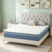 Queen Mattress, 12 Inch Hybrid Queen Size Mattress in a Box