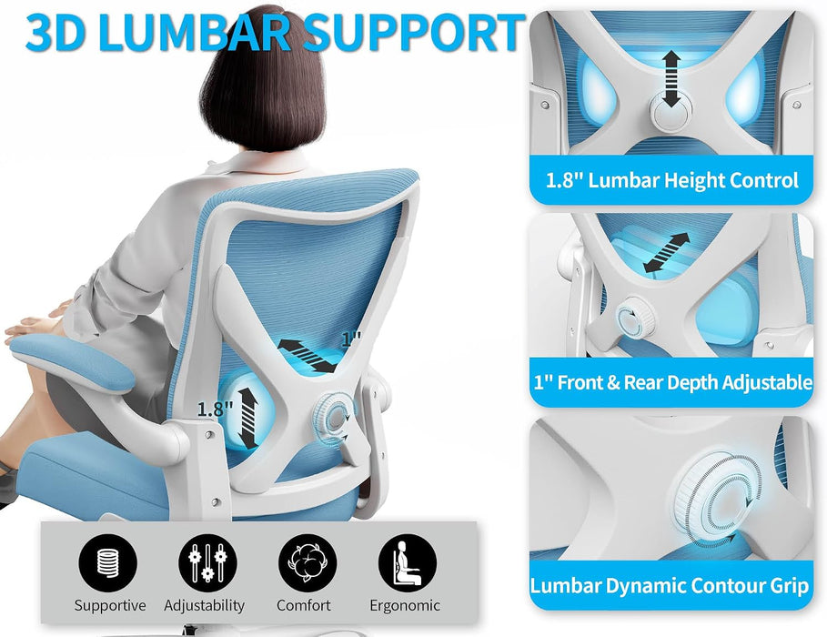 Office Chair: Mesh Ergonomic Desk Chair with 3D Lumbar & Swivel